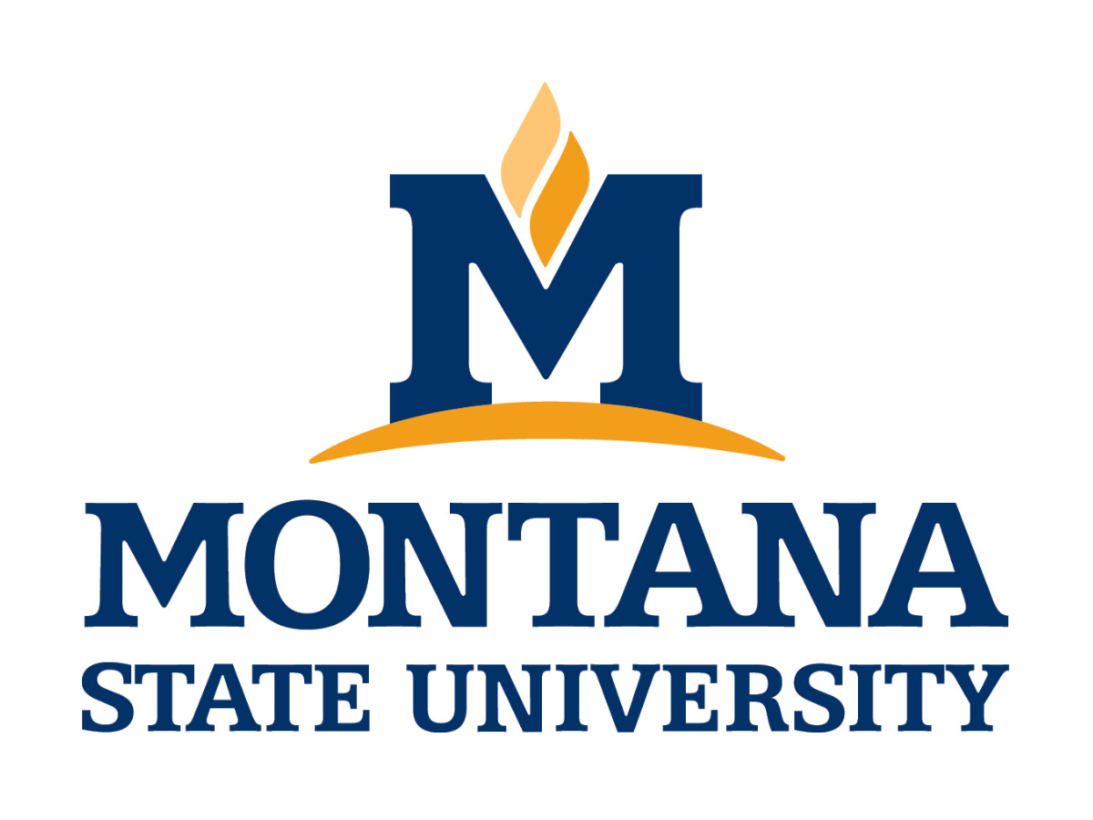 Staff Directory Human Resources Montana State University